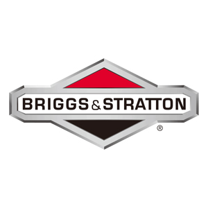 Briggs & Stratton