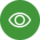 eye icon