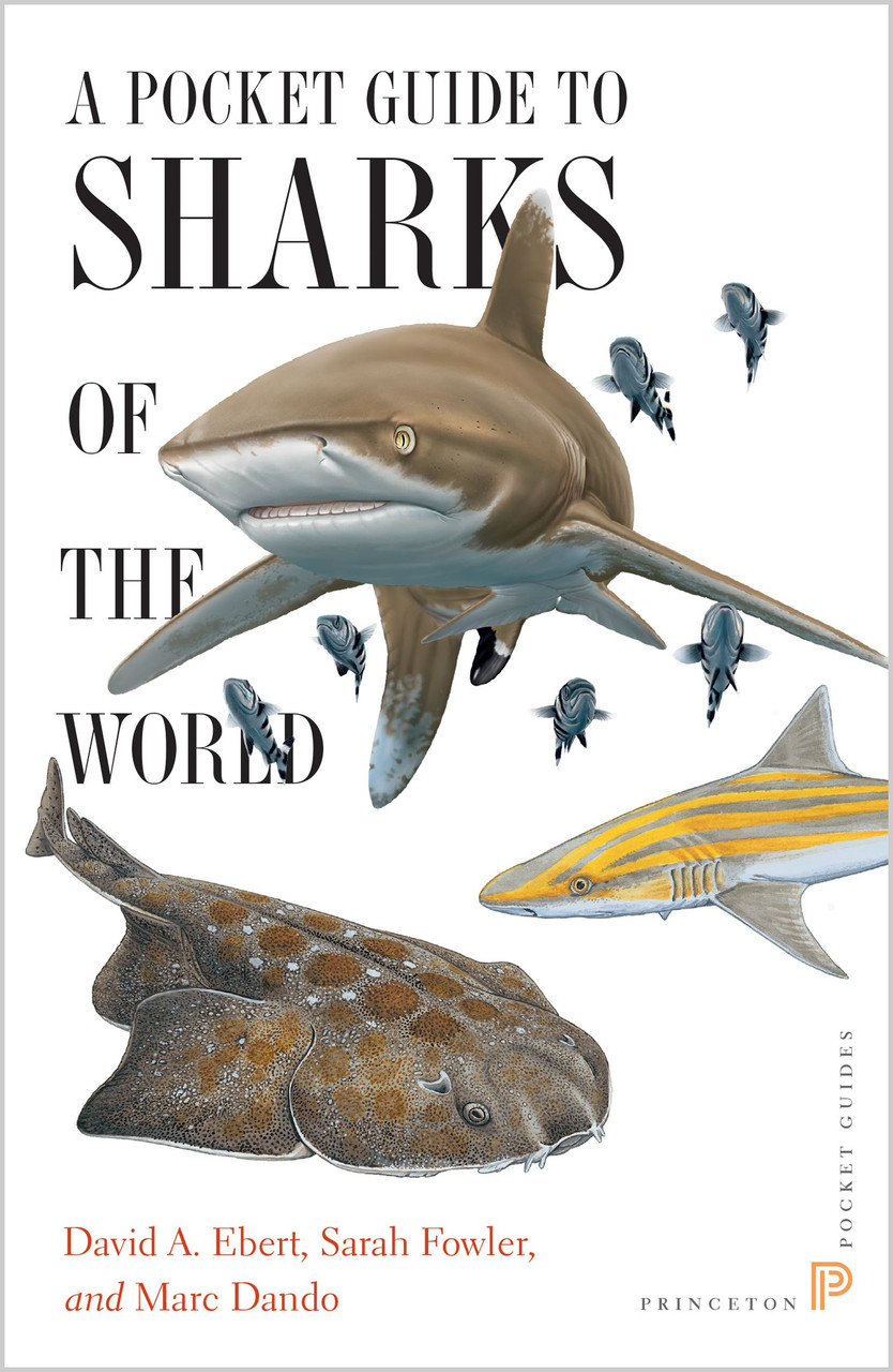 A Pocket Guide to Sharks of the World | | 9780691165998