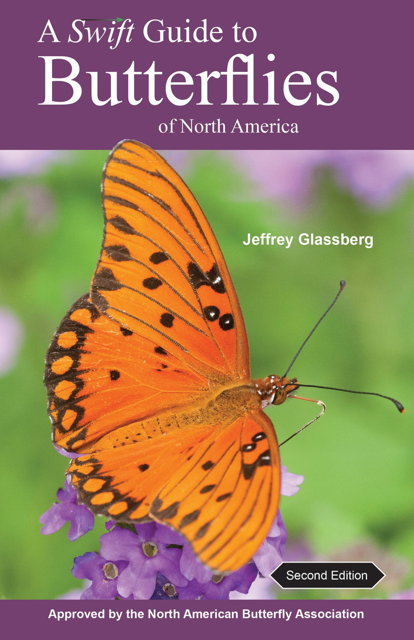 A Swift Guide To Butterflies Of North America Labyrinth Books a-swift-guide-to-butterflies-of-north-america-labyrinth-books