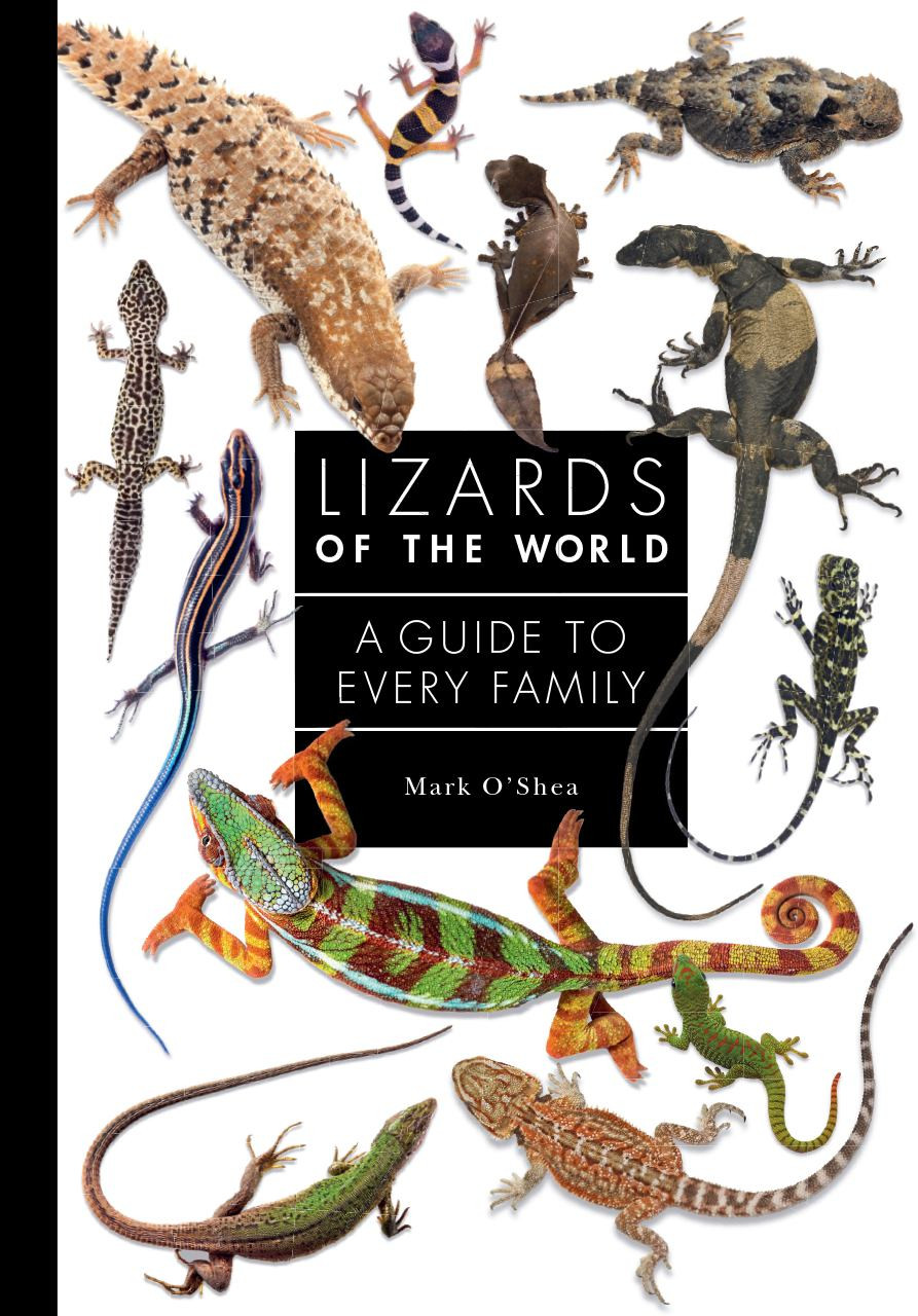 Lizards of the World - Labyrinth Books