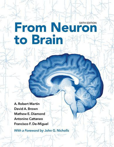 From Neuron to Brain - Labyrinth Books
