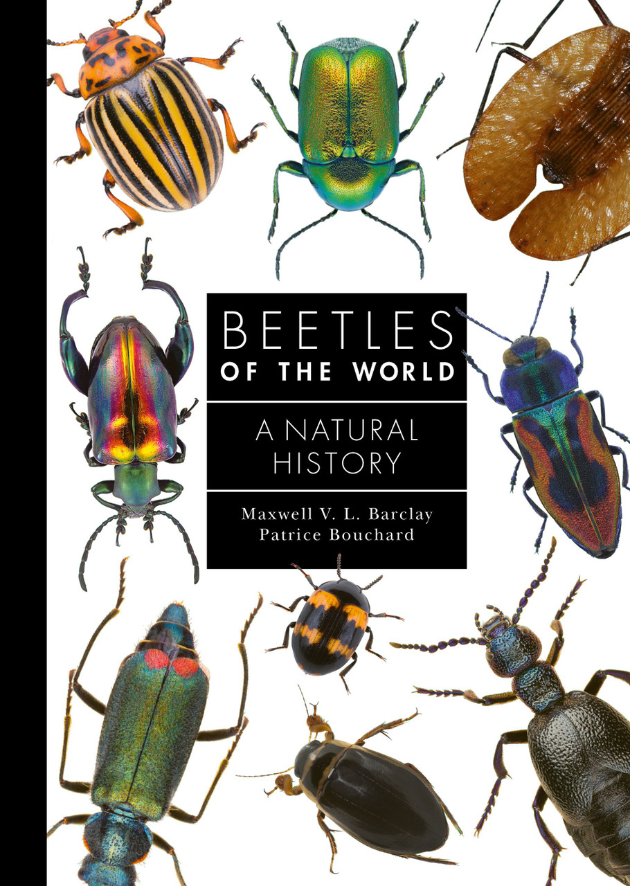 Beetles of the World - Labyrinth Books