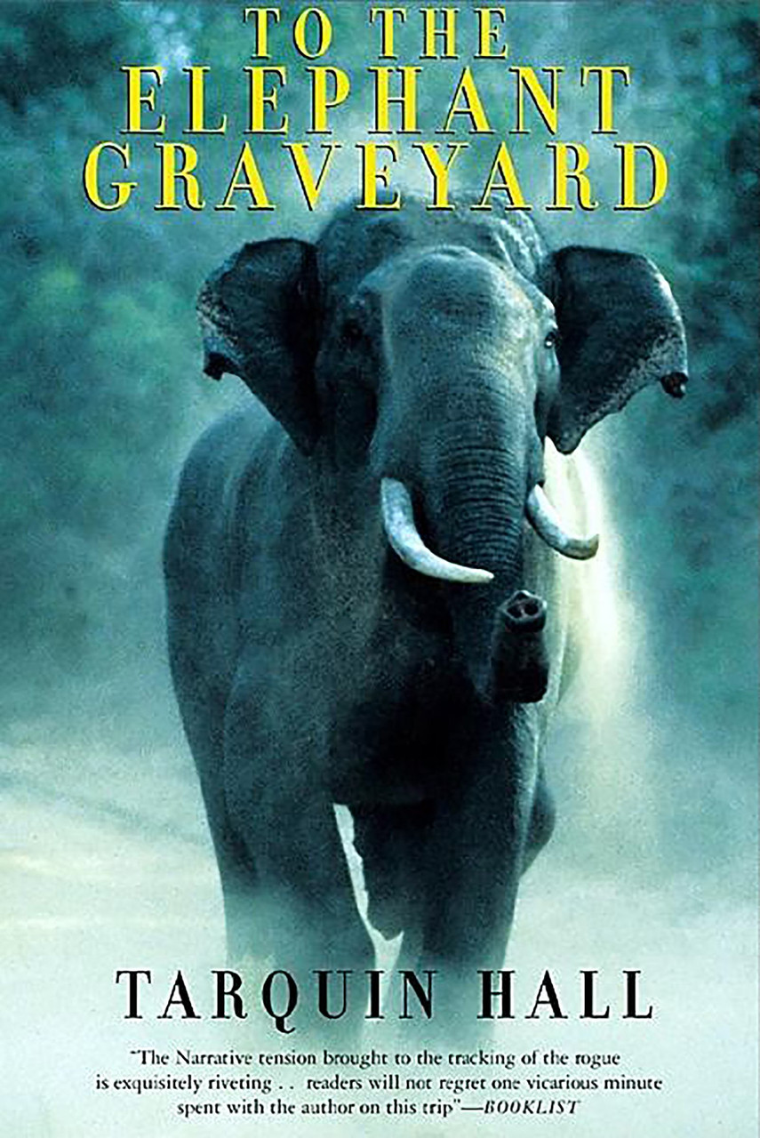 To the Elephant Graveyard - Labyrinth Books