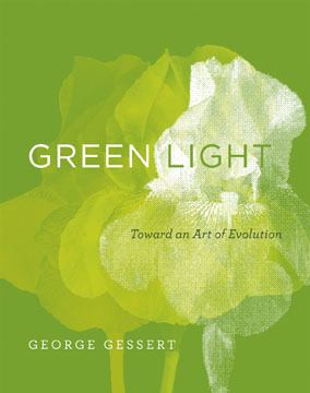 Green Light - Labyrinth Books