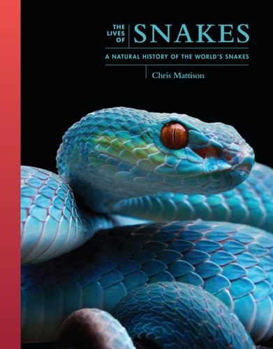 The Lives of Snakes - Labyrinth Books