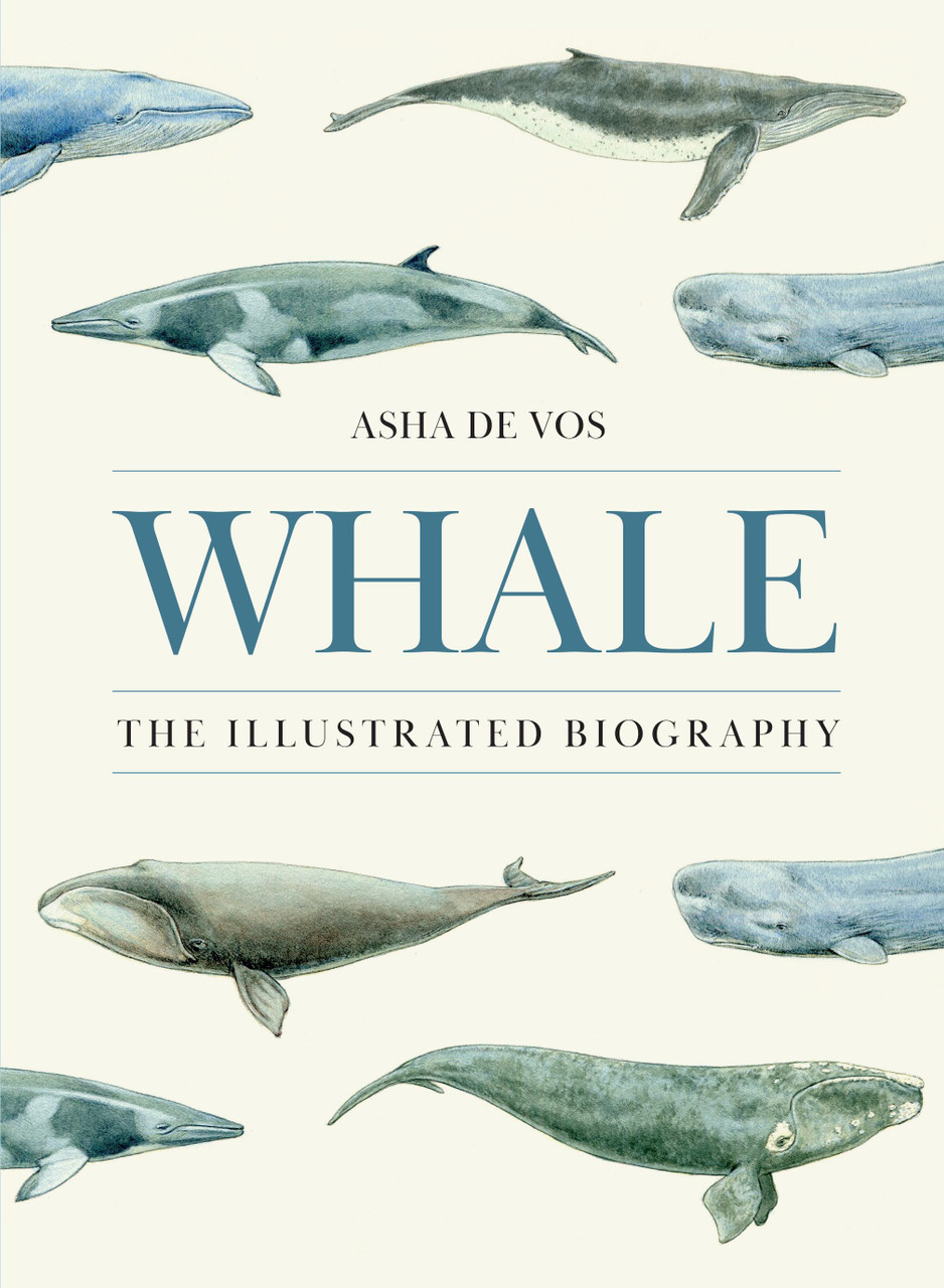 Whale | | 9780691273211 - Labyrinth Books