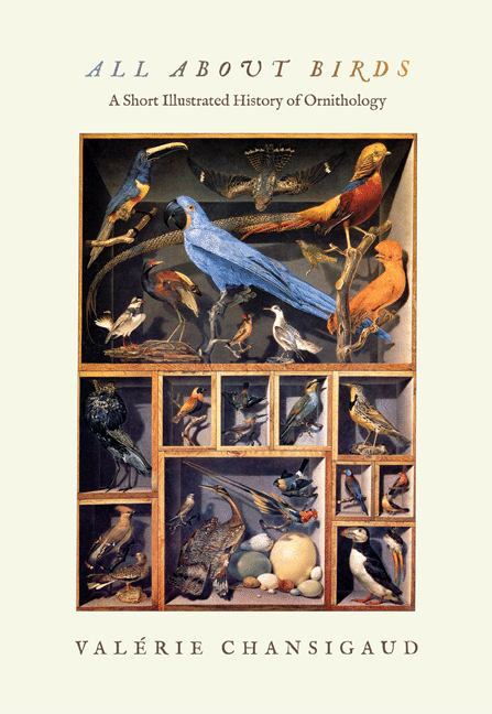 All about Birds - Labyrinth Books