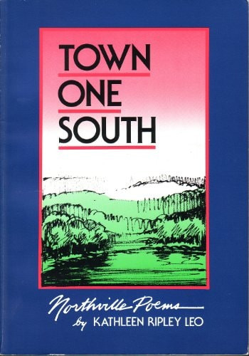 Town One South: Northville Poems