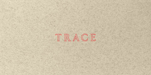 Jenny Holzer: Trace