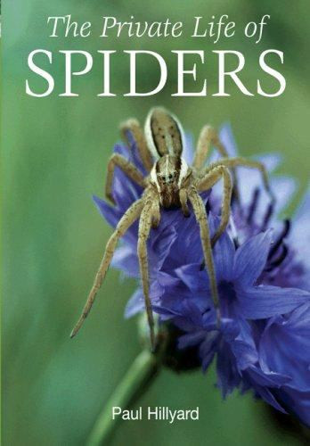 The Private Life of Spiders | | 9780691135526 - Labyrinth Books