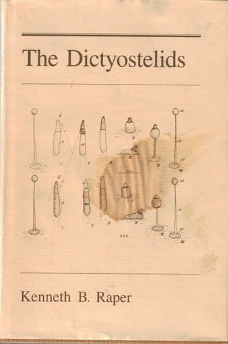 The Dictyostelids