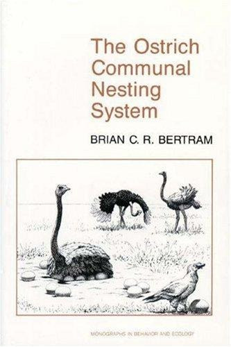 The Ostrich Communal Nesting System