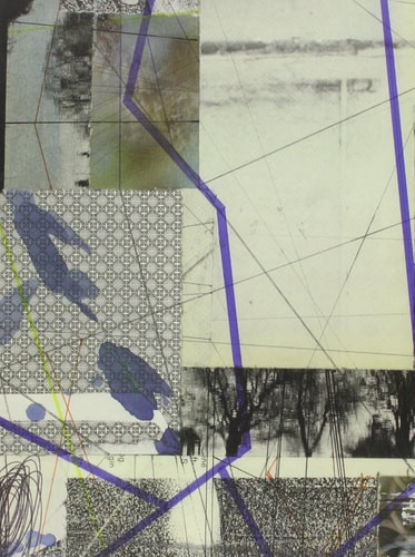 Animate, Inanimate Aims