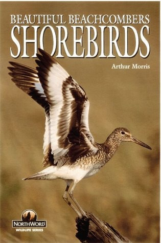 Shorebirds