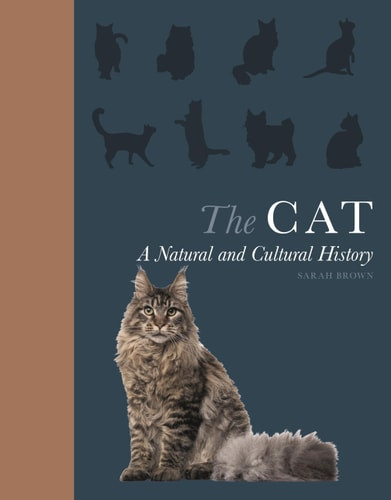 The Cat