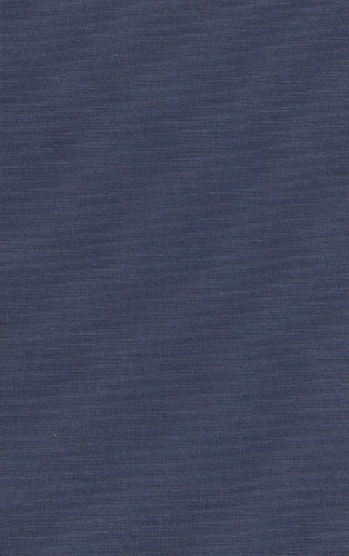 Differentiation Theory: Problems and Prospects