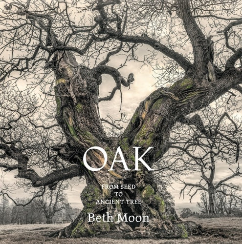 Oak | | 9780789215185