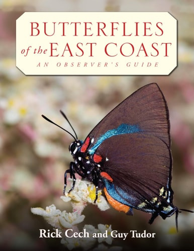 Butterflies of the East Coast