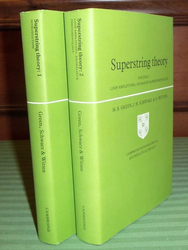 Superstring Theory - Labyrinth Books