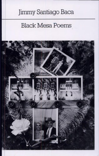 Black Mesa Poems