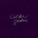 Calder Gardens: Drawings and Texts by Jacques Herzog