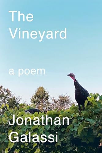 The Vineyard