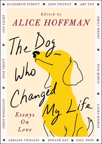 The Best Dog in the World