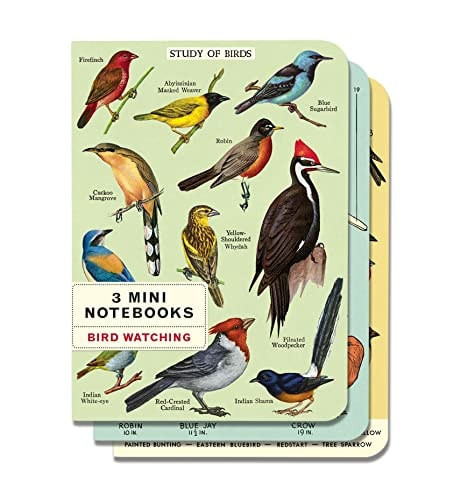 Cavallini & Co. Bird Watching Mini Notebook Set 4" x 5.5" (10cm x 14cm)