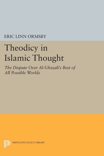 Theodicy in Islamic Thought | | 9780691612447