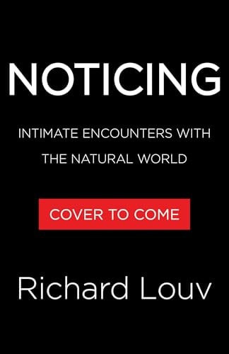 Noticing