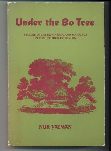 Under the Bo Tree