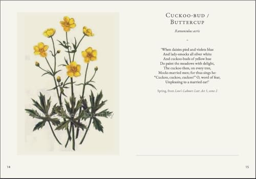 Darling Buds