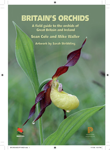 Britain's Orchids | | 9780691177618