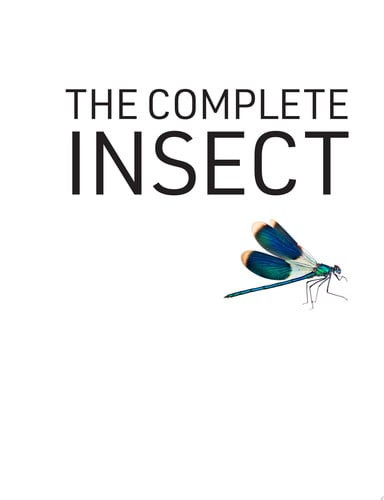 The Complete Insect
