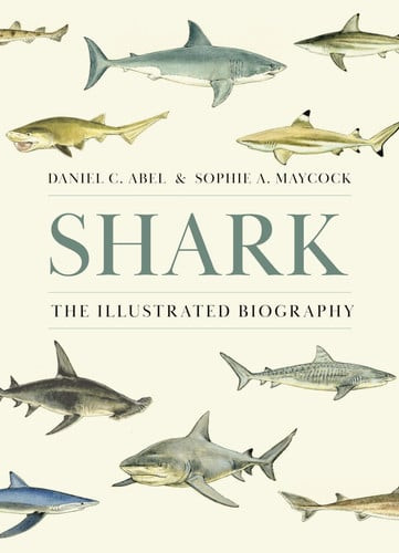 Shark | | 9780691261676