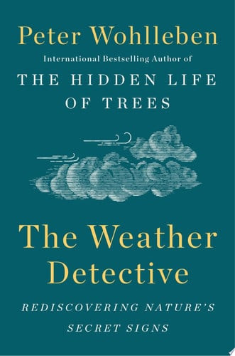 The Weather Detective