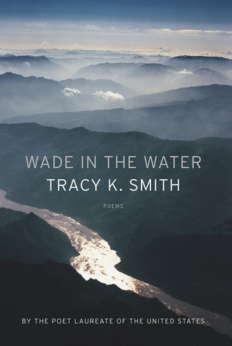 Wade in the Water | | 9781555978365