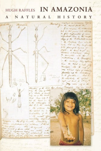 In Amazonia