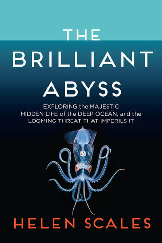 The        Brilliant Abyss