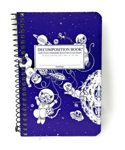 Kittens in Space Pocket Decomposition Book