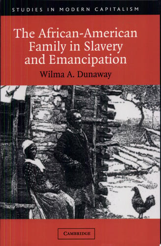The African-American Family in Slavery and Emancipation