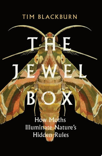 The Jewel Box