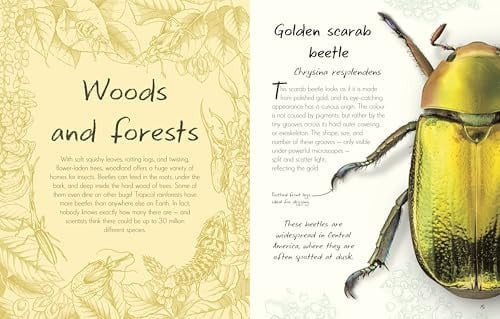 An Anthology of Beetles