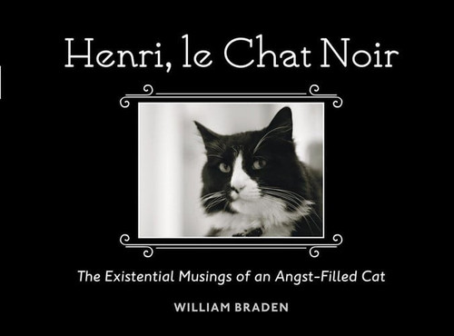 Henri, le Chat Noir