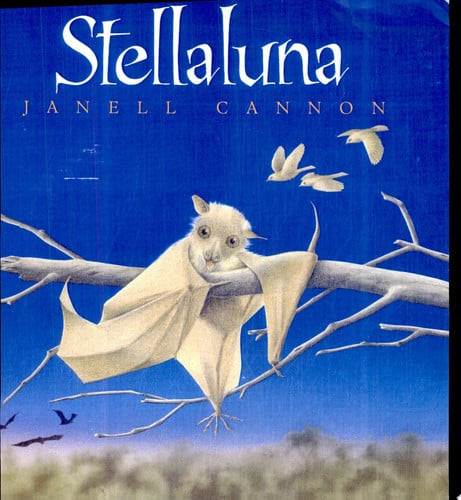 Stellaluna Board Book