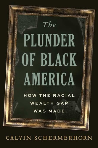 The Plunder of Black America | | 9780300292299