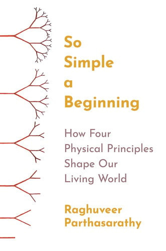 So Simple a Beginning | | 9780691258676