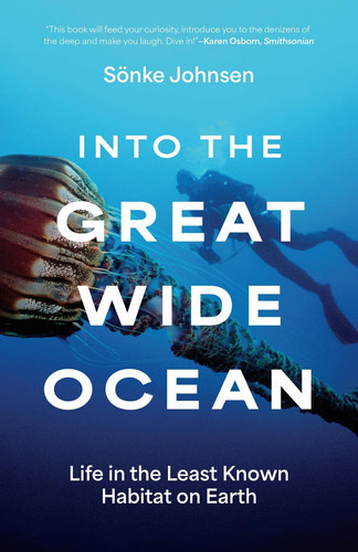 Into the Great Wide Ocean | | 9780691264684