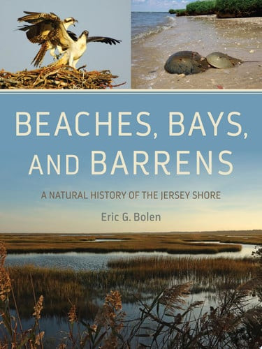 Beaches, Bays, and Barrens